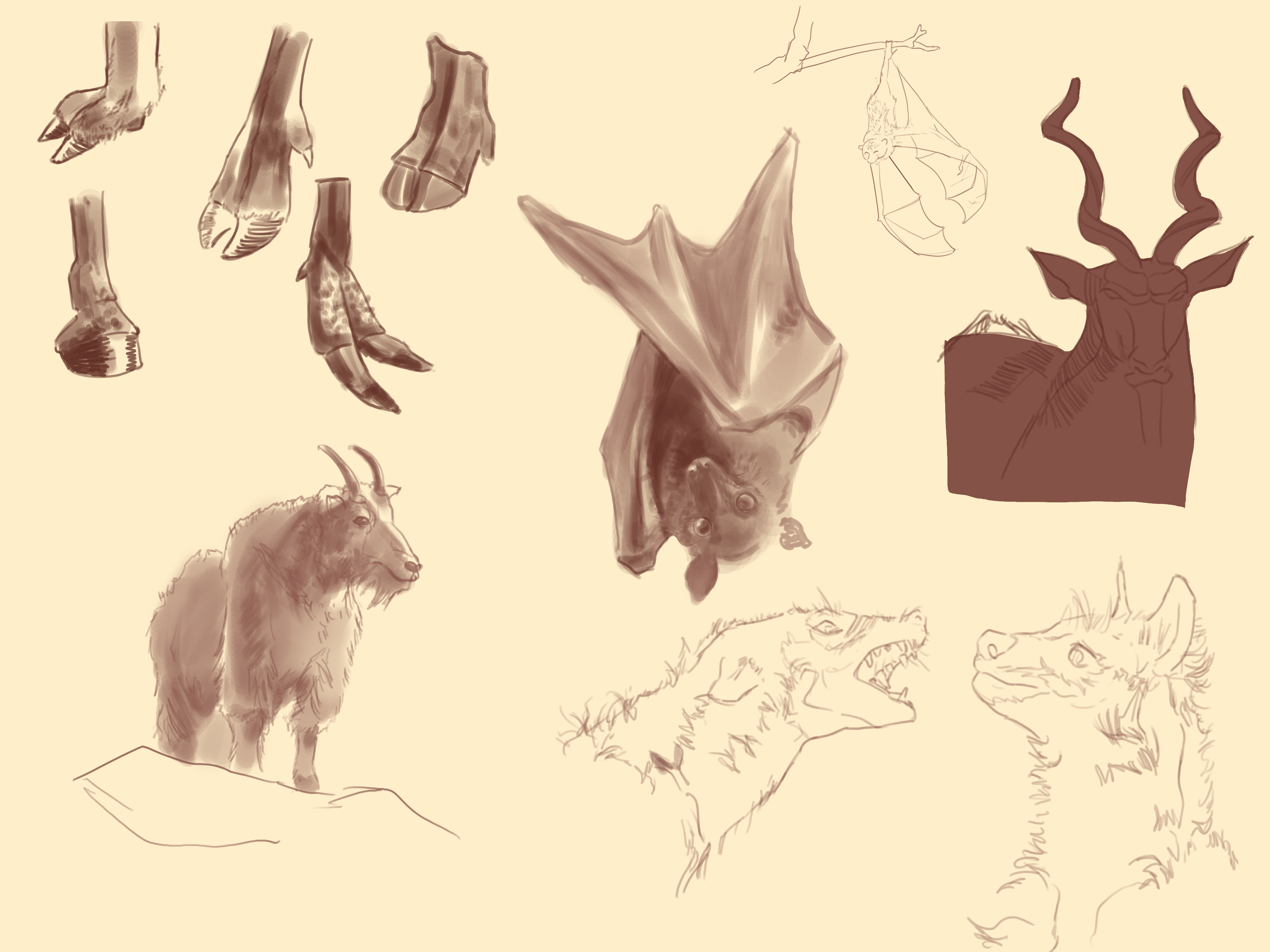 Sketch 5